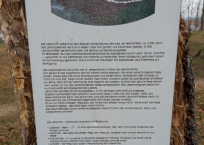 PXL_20250313_094624970