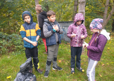 IMG_20251022_104608756