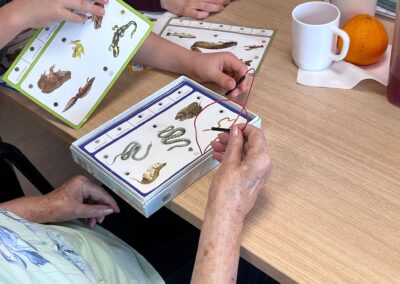 WhatsApp Image 2026-03-12 at 17.44.30